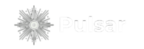 Pulsar by Campaign Sidekick